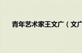 青年艺术家王文广（文广 艺术家相关内容简介介绍）