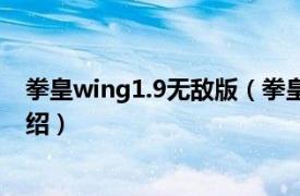 拳皇wing1.9无敌版（拳皇wing1.6无敌版相关内容简介介绍）