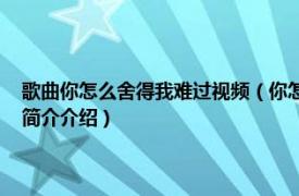 歌曲你怎么舍得我难过视频（你怎么舍得我难过 刘德华演唱歌曲相关内容简介介绍）