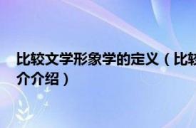 比较文学形象学的定义（比较文学形象学理论与实践相关内容简介介绍）