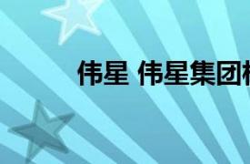 伟星 伟星集团相关内容简介介绍