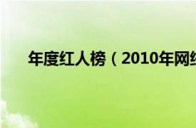 年度红人榜（2010年网络红人榜相关内容简介介绍）