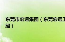 东莞市宏远集团（东莞宏远工业区股份有限公司相关内容简介介绍）