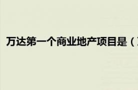 万达第一个商业地产项目是（万达商业地产相关内容简介介绍）