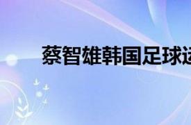 蔡智雄韩国足球运动员相关内容介绍