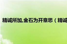 精诚所加,金石为开意思（精诚所加金石为开相关内容简介介绍）