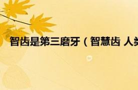 智齿是第三磨牙（智慧齿 人类的第三磨牙相关内容简介介绍）