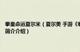 拳皇命运夏尔米（夏尔美 手游《拳皇命运》里一名SR级的格斗家相关内容简介介绍）