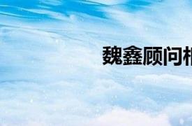 魏鑫顾问相关内容简介