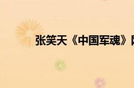 张笑天《中国军魂》网站负责人相关内容介绍