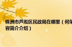 株洲市芦淞区民政局在哪里（何荣 湖南省株洲市芦淞区民政局局长相关内容简介介绍）