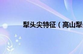 犁头尖特征（高山犁头尖相关内容简介介绍）