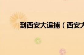 到西安大追捕（西安大追捕相关内容简介介绍）