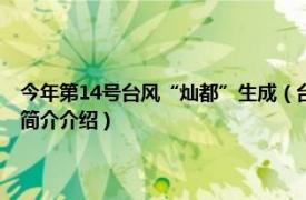 今年第14号台风“灿都”生成（台风灿都 2016年第7号热带风暴相关内容简介介绍）