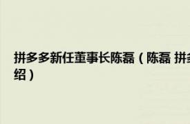 拼多多新任董事长陈磊（陈磊 拼多多联合创始人、董事长相关内容简介介绍）