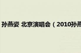 孙燕姿 北京演唱会（2010孙燕姿北京演唱会相关内容简介介绍）