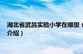 湖北省武昌实验小学在哪里（湖北省武昌实验小学相关内容简介介绍）