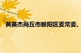 黄英杰商丘市睢阳区委常委、宣传部长、副区长相关内容简介