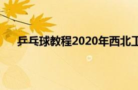 乒乓球教程2020年西北工业大学出版社出版书籍简介