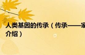 人类基因的传承（传承——家族基因的秘密 中国篇相关内容简介介绍）