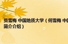 员雪梅 中国地质大学（何雪梅 中国地质大学 北京珠宝学院副教授相关内容简介介绍）