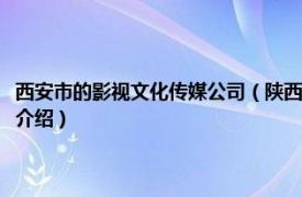 西安市的影视文化传媒公司（陕西追风影视文化传播有限公司相关内容简介介绍）