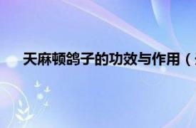 天麻顿鸽子的功效与作用（天麻扣岩鸽相关内容简介介绍）