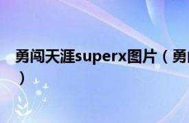 勇闯天涯superx图片（勇闯天涯superX相关内容简介介绍）