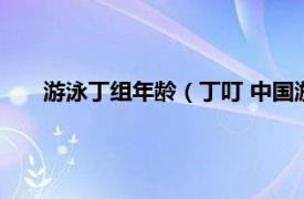 游泳丁组年龄（丁叮 中国游泳运动员相关内容简介介绍）