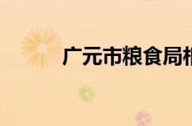 广元市粮食局相关内容简介介绍