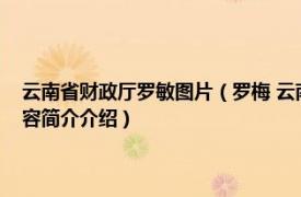 云南省财政厅罗敏图片（罗梅 云南省财政厅总经济师、二级巡视员相关内容简介介绍）