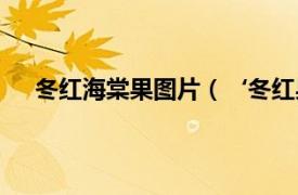 冬红海棠果图片（‘冬红果’海棠相关内容简介介绍）