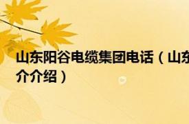 山东阳谷电缆集团电话（山东阳谷电缆集团有限公司相关内容简介介绍）