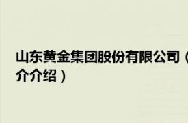 山东黄金集团股份有限公司（山东黄金集团有限公司相关内容简介介绍）