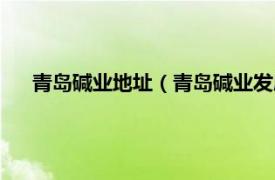 青岛碱业地址（青岛碱业发展有限公司相关内容简介介绍）