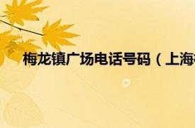 梅龙镇广场电话号码（上海梅龙镇广场相关内容简介介绍）