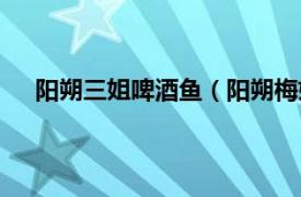 阳朔三姐啤酒鱼（阳朔梅姐啤酒鱼相关内容简介介绍）