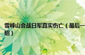 雪峰山会战日军真实伤亡（最后一战：中日雪峰山会战纪实相关内容简介介绍）