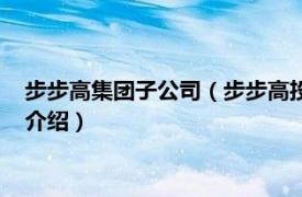 步步高集团子公司（步步高投资集团股份有限公司相关内容简介介绍）