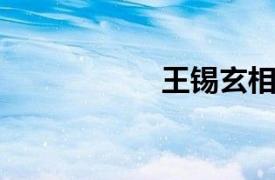 王锡玄相关内容介绍