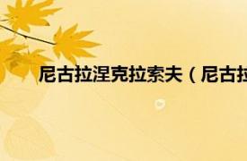 尼古拉涅克拉索夫（尼古拉鲍里索夫相关内容简介介绍）