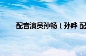 配音演员孙畅（孙晔 配音演员相关内容简介介绍）