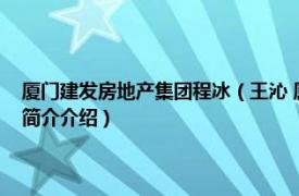 厦门建发房地产集团程冰（王沁 厦门建发集团有限公司原总经理相关内容简介介绍）