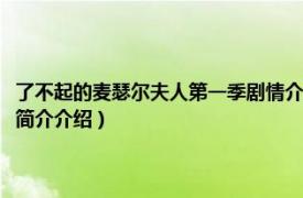 了不起的麦瑟尔夫人第一季剧情介绍（了不起的麦瑟尔夫人第二季相关内容简介介绍）