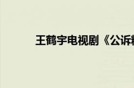 王鹤宇电视剧《公诉精英》角色相关内容介绍