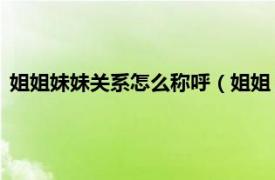 姐姐妹妹关系怎么称呼（姐姐 亲属关系称谓相关内容简介介绍）