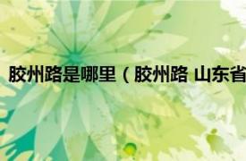 胶州路是哪里（胶州路 山东省威海市胶州路相关内容简介介绍）