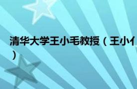 清华大学王小毛教授（王小亻毛 清华大学教师相关内容简介介绍）