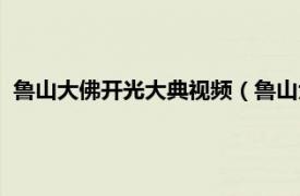 鲁山大佛开光大典视频（鲁山大佛开光大典相关内容简介介绍）