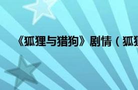 《狐狸与猎狗》剧情（狐狸与猎狗1相关内容简介介绍）